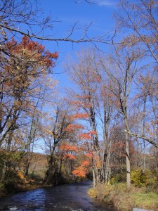 Fall 2009 