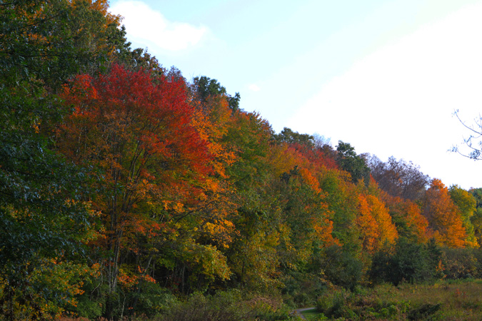Blog 11