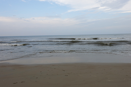 blog 1