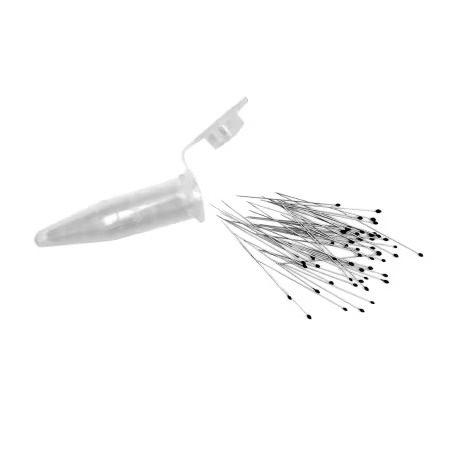 Perfect Pins Shorter