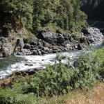 Oregon 137 blog