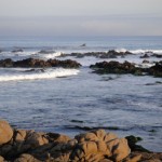 Asilomar 019 blog