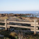 Asilomar 021 blog