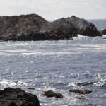 Asilomar 053 blog