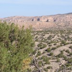 New Mexico 116 blog