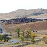 South Dakota 015 blog
