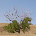 South Dakota 123 blog