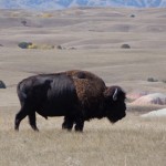 South Dakota 190 blog