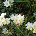 122-blog