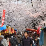 Blog 10