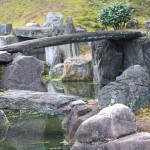 Blog 16