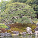 Blog 17