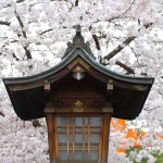 Blog 19