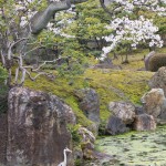 Blog 20