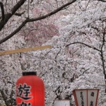 Blog 3