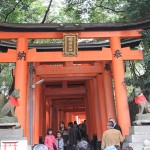 Blog 5