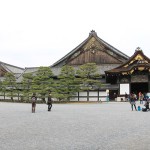 Blog 6