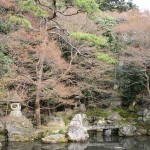 Blog 8