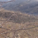 60-blog