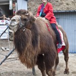 62 blog