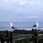 Asilomar 027 blog