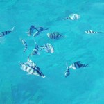 blog 14