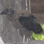 blog 25