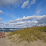 blog 11