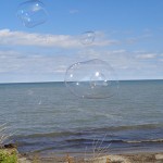 blog 9
