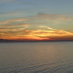 blog 29