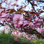 blog 7