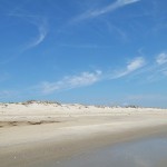 blog 1-4