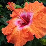Blog 2