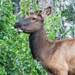 Blog  23a