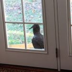 Blog 9a
