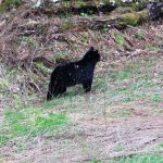 Blog 3