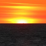 Blog 1a